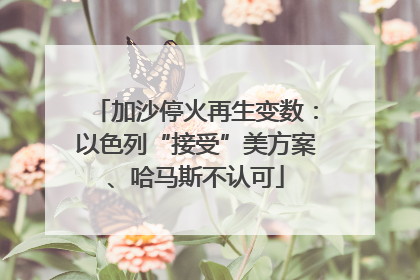 加沙停火再生变数：以色列“接受”美方案、哈马斯不认可