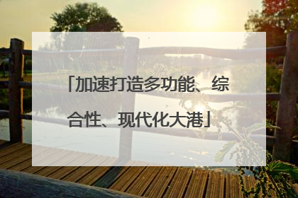 加速打造多功能、综合性、现代化大港