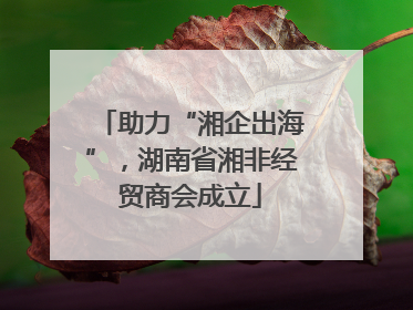 助力“湘企出海”，湖南省湘非经贸商会成立