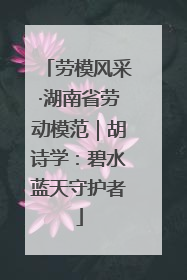 劳模风采·湖南省劳动模范｜胡诗学：碧水蓝天守护者
