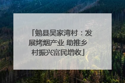 勉县吴家湾村：发展烤烟产业 助推乡村振兴富民增收
