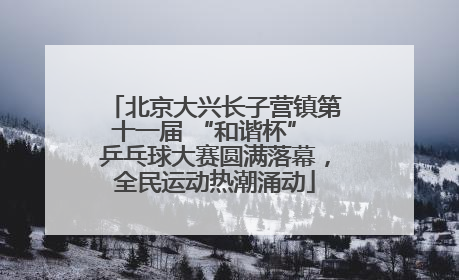 北京大兴长子营镇第十一届 “和谐杯” 乒乓球大赛圆满落幕，全民运动热潮涌动