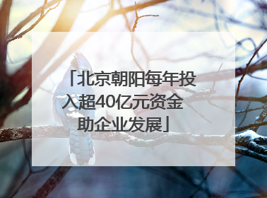 北京朝阳每年投入超40亿元资金助企业发展