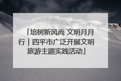 培树新风尚 文明月月行｜四平市广泛开展文明旅游主题实践活动