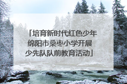 培育新时代红色少年 绵阳市桑枣小学开展少先队队前教育活动