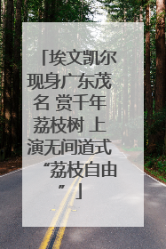 埃文凯尔现身广东茂名 赏千年荔枝树 上演无间道式“荔枝自由”