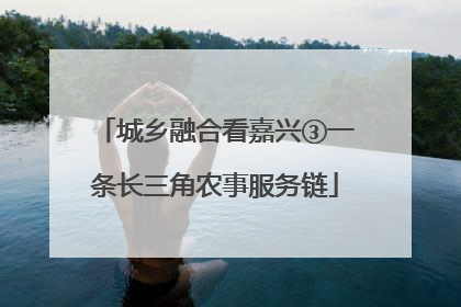 城乡融合看嘉兴③一条长三角农事服务链