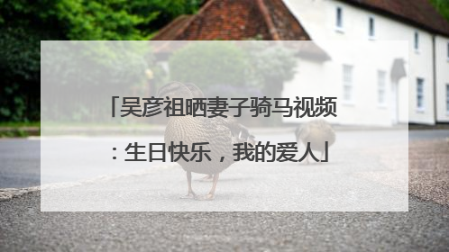 吴彦祖晒妻子骑马视频：生日快乐，我的爱人