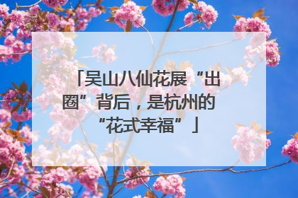 吴山八仙花展“出圈”背后，是杭州的“花式幸福”