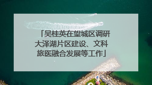 吴桂英在望城区调研大泽湖片区建设、文科旅医融合发展等工作