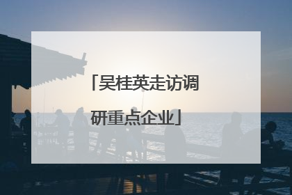 吴桂英走访调研重点企业