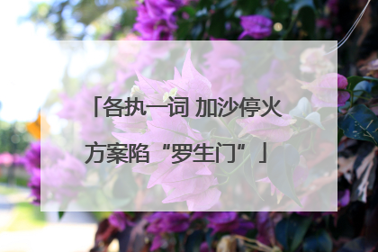 各执一词 加沙停火方案陷“罗生门”