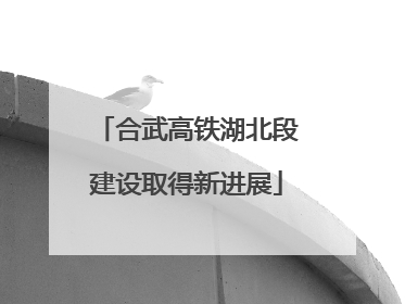合武高铁湖北段建设取得新进展