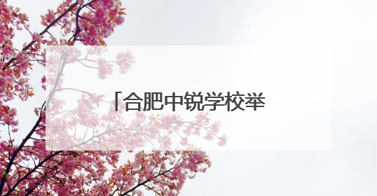合肥中锐学校举办“六一”入队仪式暨文艺汇演