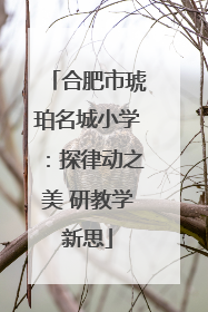 合肥市琥珀名城小学：探律动之美 研教学新思
