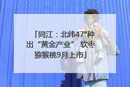 同江：北纬47°种出“黄金产业” 软枣猕猴桃9月上市