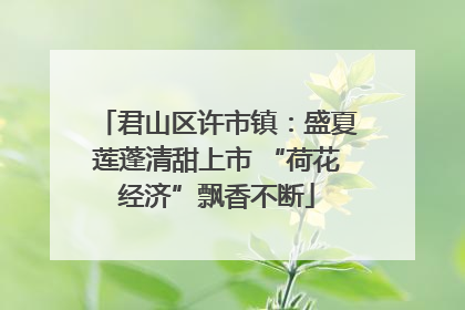 君山区许市镇：盛夏莲蓬清甜上市 “荷花经济”飘香不断