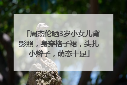 周杰伦晒3岁小女儿背影照，身穿格子裙，头扎小辫子，萌态十足
