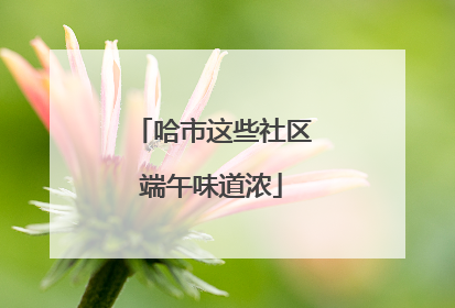 哈市这些社区端午味道浓