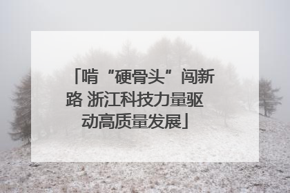 啃“硬骨头”闯新路 浙江科技力量驱动高质量发展