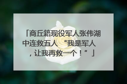 商丘籍现役军人张伟湖中连救五人 “我是军人，让我再救一个！”