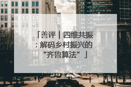 善评｜四维共振：解码乡村振兴的“齐鲁算法”