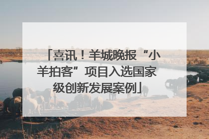 喜讯！羊城晚报“小羊拍客”项目入选国家级创新发展案例