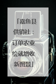嘉鱼县供销社：订单农业绘就增收新图景