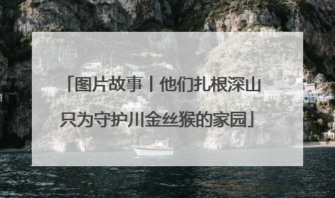 图片故事丨他们扎根深山 只为守护川金丝猴的家园