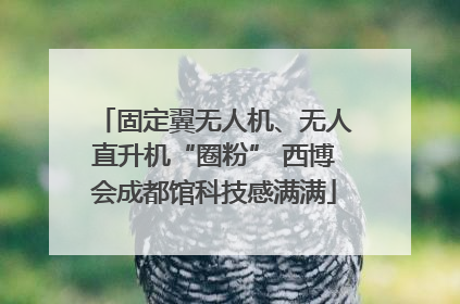 固定翼无人机、无人直升机“圈粉” 西博会成都馆科技感满满