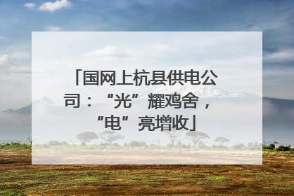 国网上杭县供电公司：“光”耀鸡舍，“电”亮增收