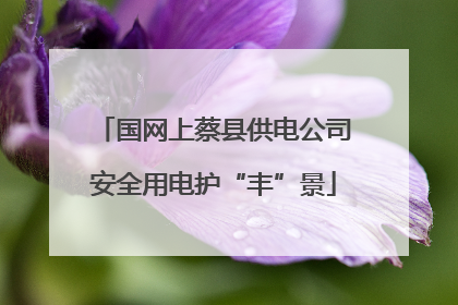 国网上蔡县供电公司安全用电护“丰”景