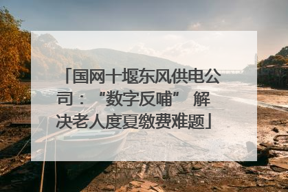 国网十堰东风供电公司：“数字反哺” 解决老人度夏缴费难题