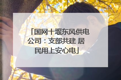 国网十堰东风供电公司：支部共建 居民用上安心电