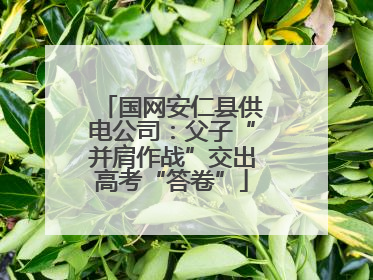 国网安仁县供电公司：父子“并肩作战”交出高考“答卷”