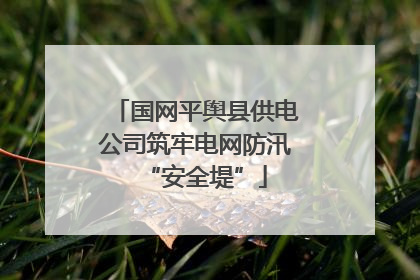 国网平舆县供电公司筑牢电网防汛“安全堤”