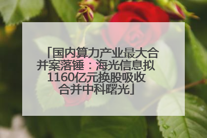 国内算力产业最大合并案落锤：海光信息拟1160亿元换股吸收合并中科曙光