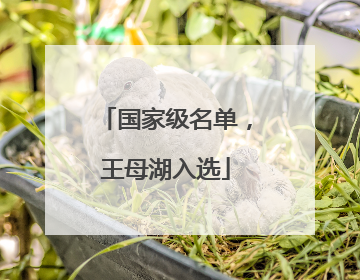 国家级名单,王母湖入选