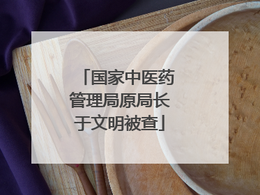 国家中医药管理局原局长于文明被查