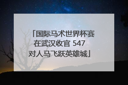 国际马术世界杯赛在武汉收官 547对人马飞跃英雄城