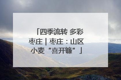 四季流转 多彩枣庄｜枣庄：山区小麦“喜开镰”