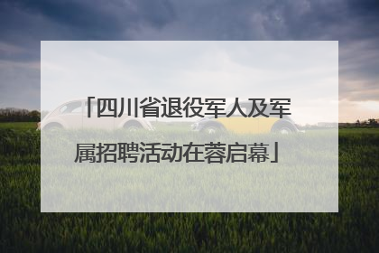 四川省退役军人及军属招聘活动在蓉启幕