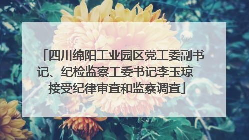 四川绵阳工业园区党工委副书记、纪检监察工委书记李玉琼 接受纪律审查和监察调查