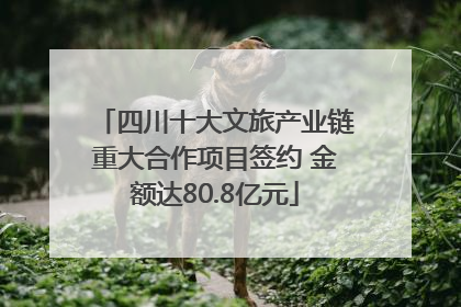 四川十大文旅产业链重大合作项目签约 金额达80.8亿元