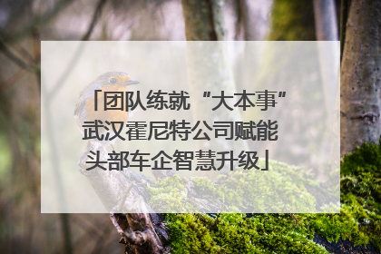 团队练就“大本事” 武汉霍尼特公司赋能头部车企智慧升级