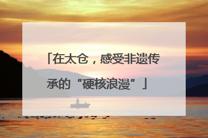 在太仓，感受非遗传承的“硬核浪漫”