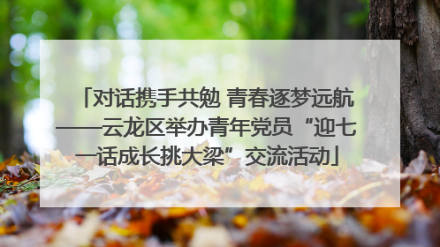 对话携手共勉 青春逐梦远航——云龙区举办青年党员“迎七一话成长挑大梁”交流活动
