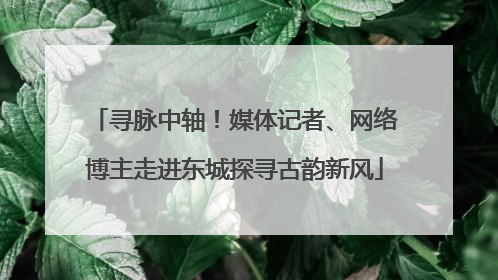 寻脉中轴！媒体记者、网络博主走进东城探寻古韵新风