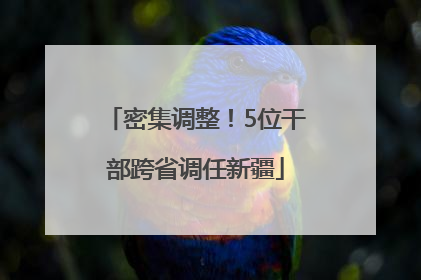 密集调整！5位干部跨省调任新疆