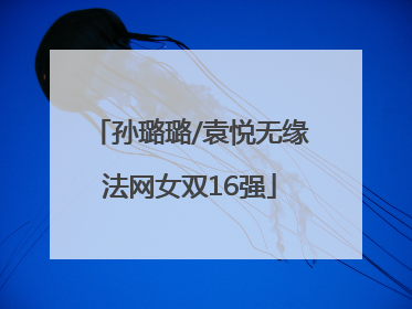 孙璐璐/袁悦无缘法网女双16强